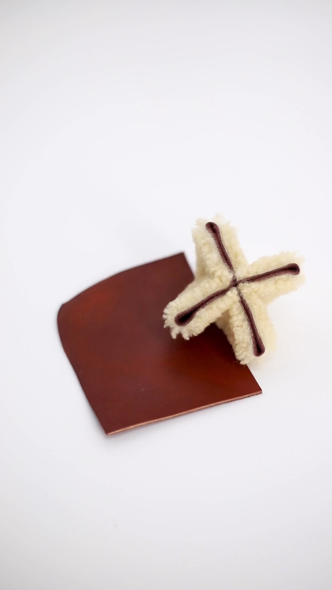 Shearling Star - Aniline Leather Care